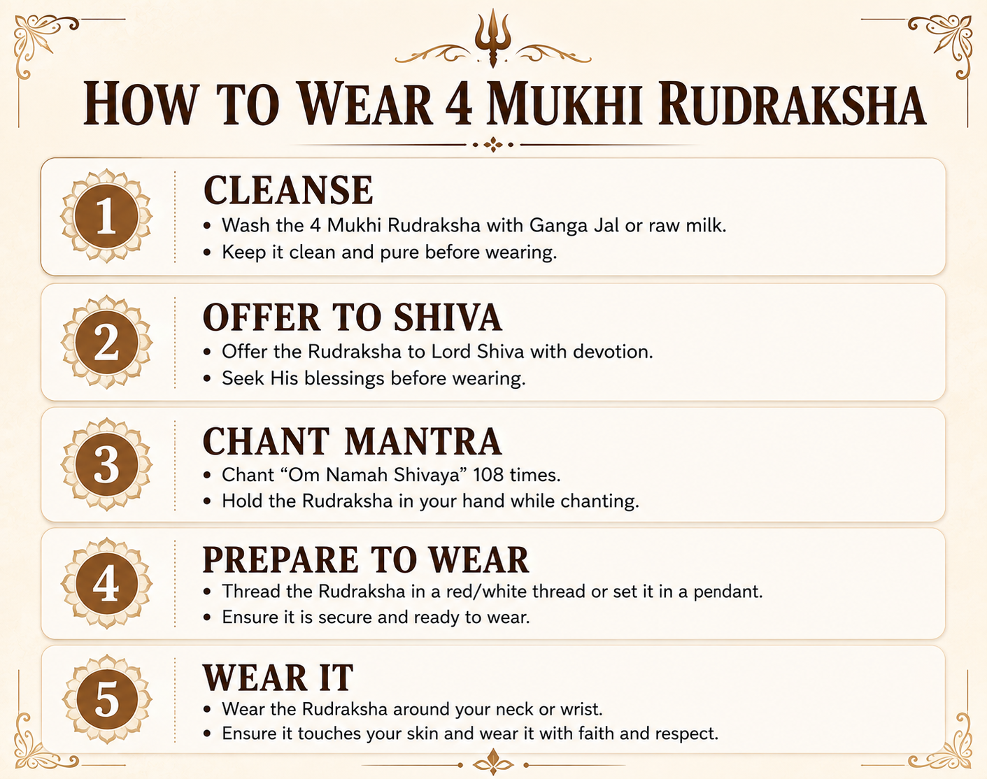 4 Mukhi Rudraksha ( Nepal Origin)